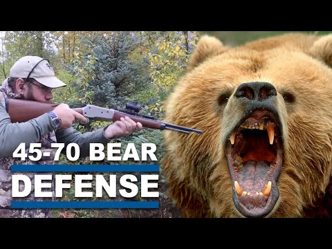 Видео: 45-70 Рычажный механизм против атаки медведя