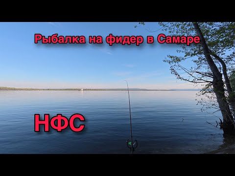 Видео: РЫБАЛКА НА ФИДЕР В САМАРЕ 10.05.25. БЕРЕГ ВОЛГИ В РАЙОНЕ НФС.