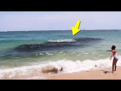 Видео: Невероятные Моменты, Снятые на Камеру