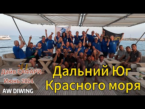 Видео: Дайв Сафари Юг Красного Моря. Июнь 2024. AW Diwing