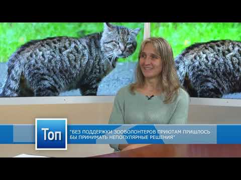 Видео: "ТОП ЛАТГАЛИИ" - Оксана Бондаре, руководитель Даугавпилсского приюта для животных