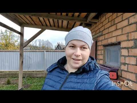 Видео: КОНЕЦ ОКТЯБРЯ#САЖАЮ ЛУК И ЧЕСНОК ПОД ЗИМУ#ОСЕННИЕ РАБОТЫ НА УЧАСТКЕ