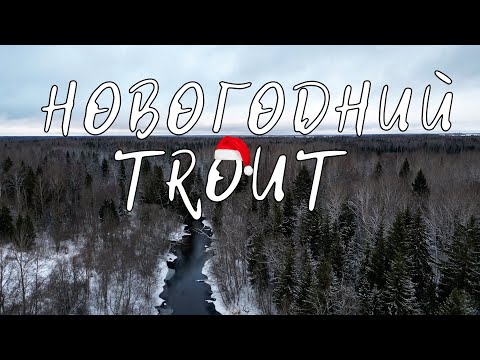 Видео: НОВОГОДНЯЯ РЫБАЛКА, итоги 2022 года.