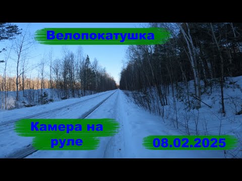 Видео: Велопокатушка 08.02.2025