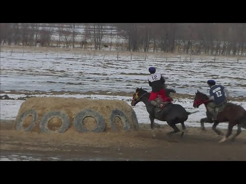 Видео: Көкбөрү. Жети-Өгүз. Жаш Күч жана Ак терек.