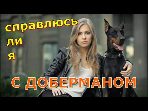 Видео: Хозяин добермана. Каким он должен быть