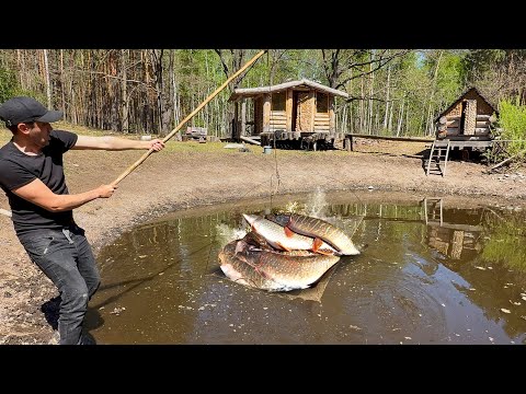 Видео: Просто ШОК! Сколько здесь щуки, в пересохшем пруду. Ловля неводом и на паук