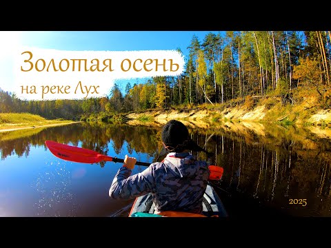 Видео: Сплав по реке Лух в Золотую осень 2025