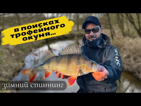Видео: ✅ЗА ТРОФЕЙНЫМ ОКУНЕМ | МЫ ЕГО НАШЛИ