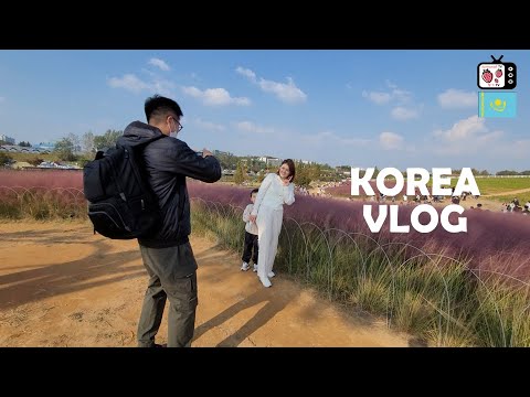Видео: Кореядағы қазақ қызының бір күндік демалысы | Кәріс отбасыммен демалыс | Кореядағы алтын күз