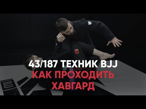 Видео: Как проходить хавгард