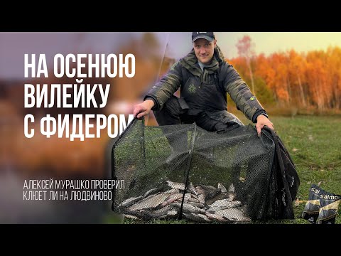 Видео: С фидером на Вилейское водохранилище. Проверяем осеннее Людвиново