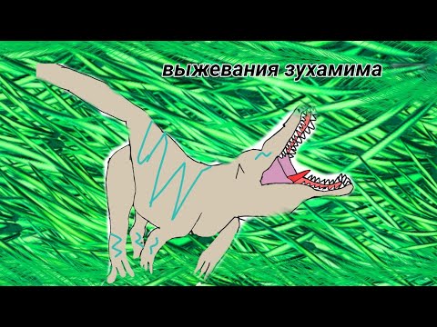 Видео: Выживание за зухомима. Курсед