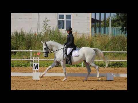 Видео: Уровень 2. ППД В. Контргалоп