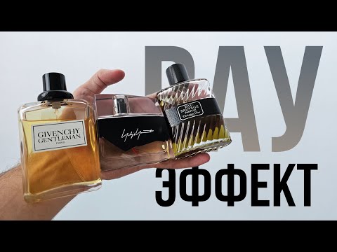 Видео: Парфюм с вау эффектом | Девушка оценивает мужские ароматы