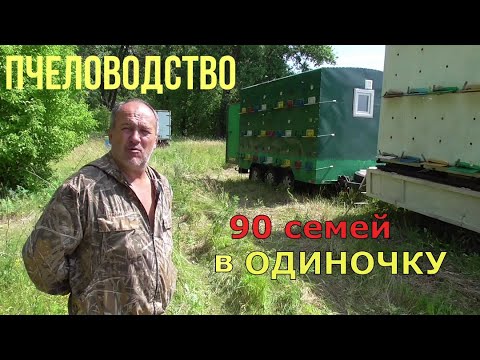 Видео: Приехал на Липу / прицеп на 54 семьи / Пчеловодство.