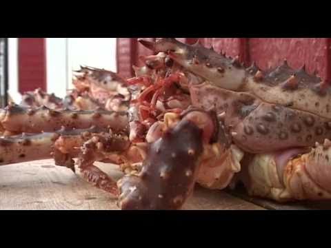 Видео: Непутевые заметки. Северная Норвегия. 10.10.2010