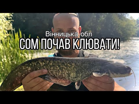 Видео: Давно не ловили ТАКОГО РІЗНОМАНІТТЯ ХИЖАКА! Риболовля на ЗАКИНУТОМУ КАР'ЄРІ у Вінницькій області!