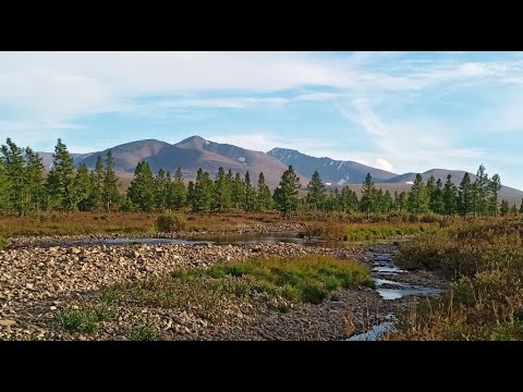 Видео: Пеший поход по Полярному Уралу к горе Пайер (весь фильм) (2020)