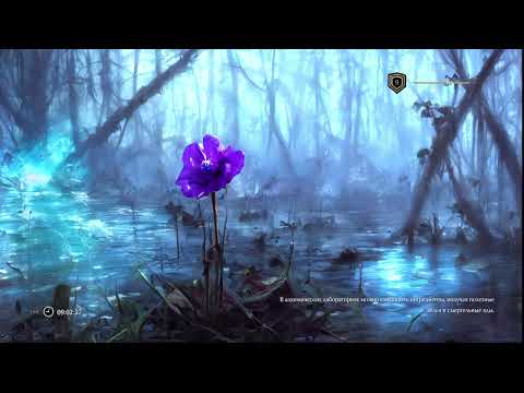 Видео: Одна жизнь . Skyrim RFAD SE(Requiem for a Dream). Это соверше (Part 1/2)