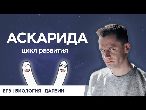 Видео: Что такое Аскарида | ЕГЭ Биология | Даниил Дарвин