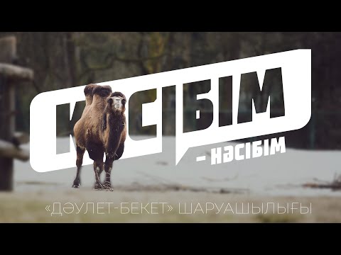 Видео: «Дәулет-Бекет» шаруашылығы. Төрт түліктің төресі - түйе.
