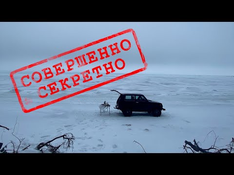 Видео: Секретные доработки ЛАДА НИВА 21214 | Стук в рулевой колонке, кемпинговый свет.