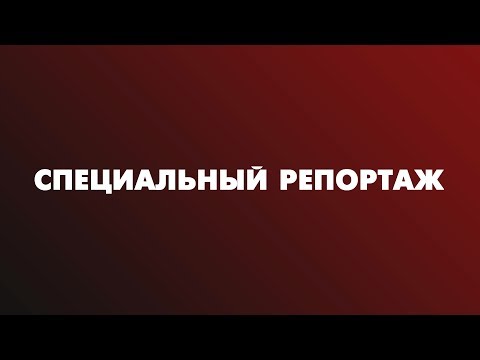 Видео: Специальный репортаж: Таксидермист