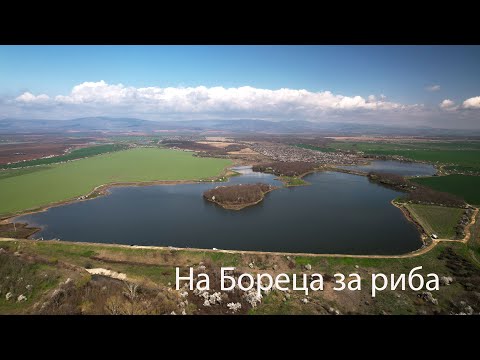 Видео: На Бореца за риба