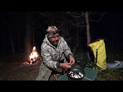 Видео: ПЕРВЫЙ ВЫХОД ЗА НАЛИМОМ, ЗАНОЧЕВАЛ В БОРУ! ТЕПЛО В ПАЛАТКЕ С ПЕЧКОЙ, РЫБАЛКА НА ДОНКИ \ ЖАРЮ ГРИБЫ.