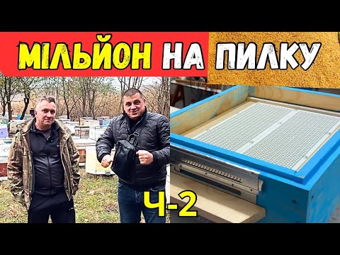 Видео: Супер 👍 Донний Пилкозбірник ✅ Технологія Збору Пилку На Пасіці 🐝 Віктор Назаренко ч-2