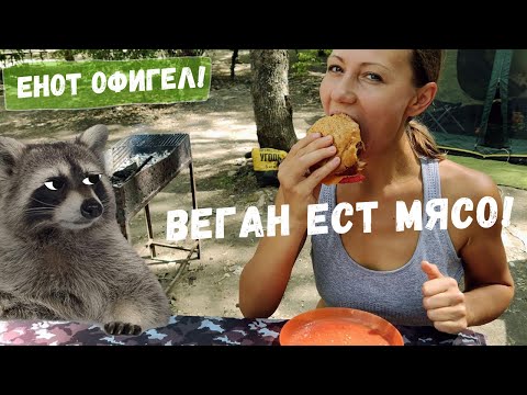 Видео: ДР в лесу на озере Абрау-Дюрсо, пробуем бургеры с МЯСОМ BeyondMeat 🍔 еноты атакуют наш шатёр 🐺