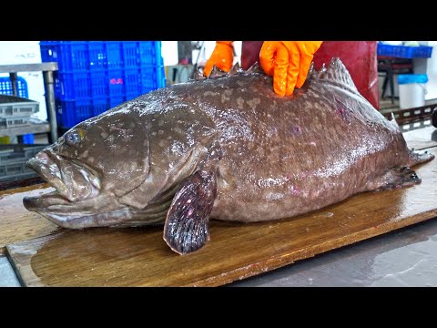 Видео: Рыба-монстр！Навыки резки гигантского морского окуня,стейк гигантского морского окуня-тайваньская еда