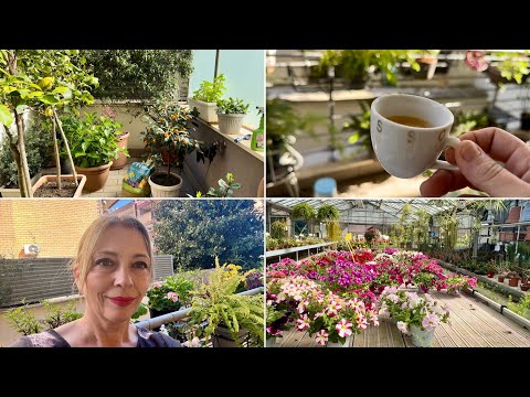 Видео: Нови попълнения за балкона 🌺