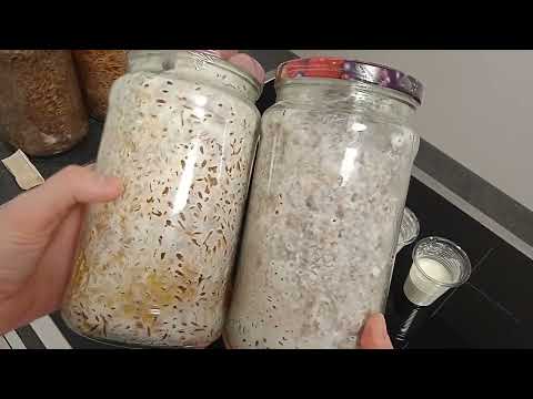 Видео: Стимуляция роста грибов (Ежовик, белый и тд)