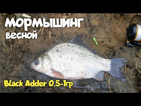 Видео: МОРМЫШИНГ! ОТКРЫЛ СЕЗОН ПО КАРАСЮ. РЫБАЛКА ВЕСНОЙ. Black Adder 0.5-1g #мормышинг #fishing