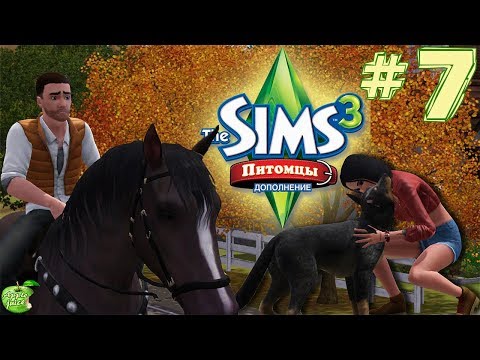 Видео: The Sims 3 Питомцы #7 Финансовая независимость