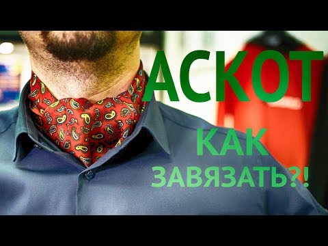 Видео: Шейный платок | Галстук Аскот | Как завязать