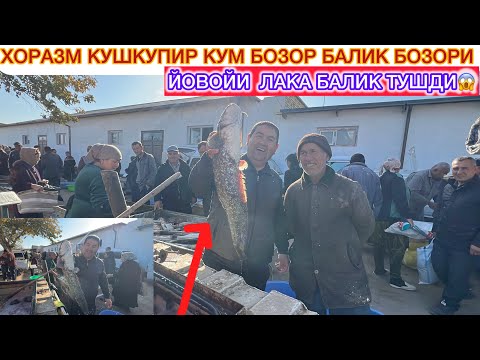 Видео: БОЗОРГА ЙОВОЙИ  ЛАКА БАЛИК ТУШДИ ХОРАЗМ КУМ БОЗОР БАЛИК БОЗОРИ 25-октябрь 2025 г.