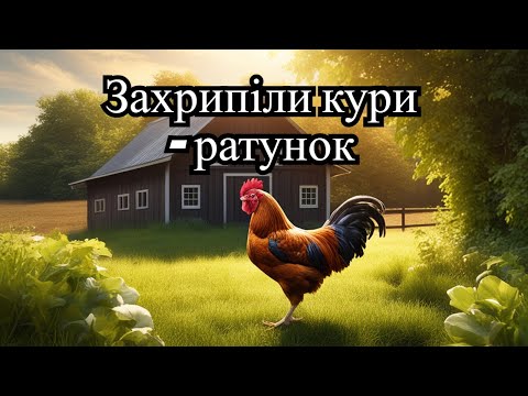 Видео: Захрипіли кури. Чим лікувати курей? Мій спосіб лікування.