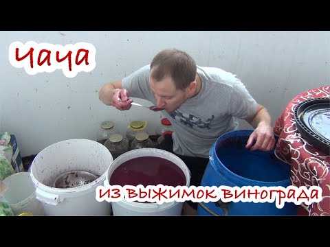 Видео: Чача из выжимок винограда