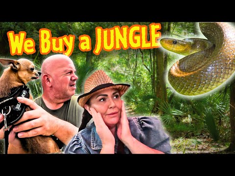 Видео: Мы купили ЗАБРОШЕННЫЕ ДЖУНГЛИ в БОЛГАРИИ, в которых есть ДИКИЙ СЕКРЕТ.