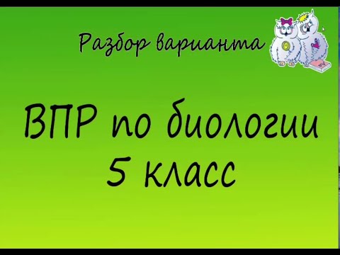 Видео: Биология. Разбор варианта ВПР по биологии 5 класс. Вариант 1