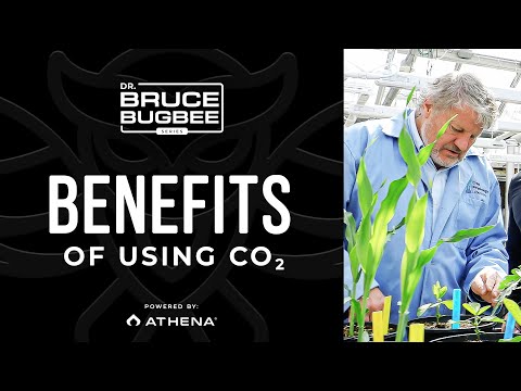 Видео: Серия Брюса Багби – Преимущества CO2