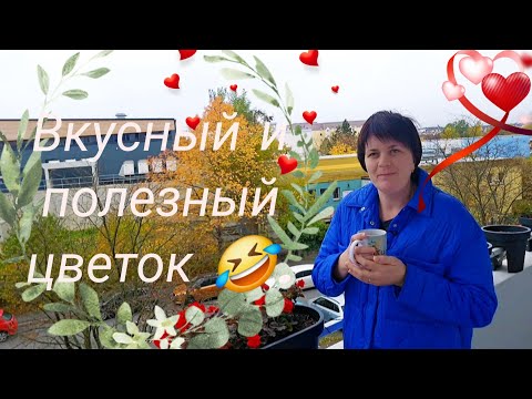 Видео: Как себя заставить...🤔?