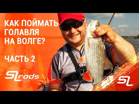 Видео: Голавль на КАЖДОМ забросе. В гостях у Валерия Новосадова. Часть 2.