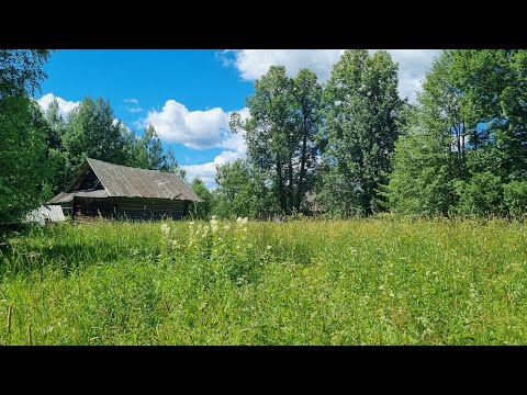 Видео: Поход в деревню Солдатово