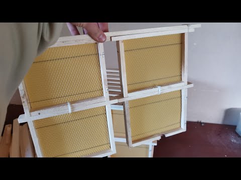 Видео: Самый простой нуклеус на расплод