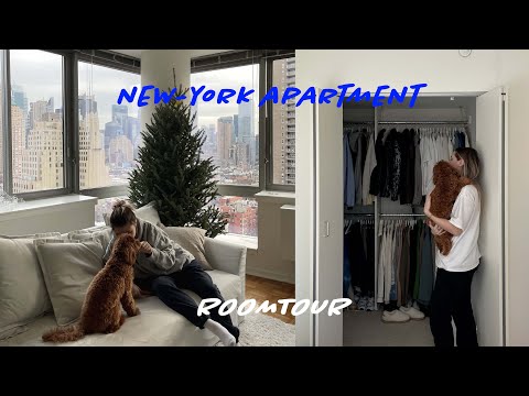 Видео: 111; ОБЗОР И СТОИМОСТЬ НАШЕЙ КВАРТИРЫ В НЬЮ-ЙОРКЕ;