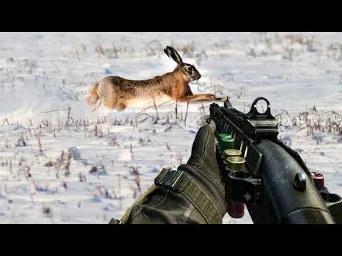 Видео: Где искать зайца русака весь сезон. Особенности и повадки.
